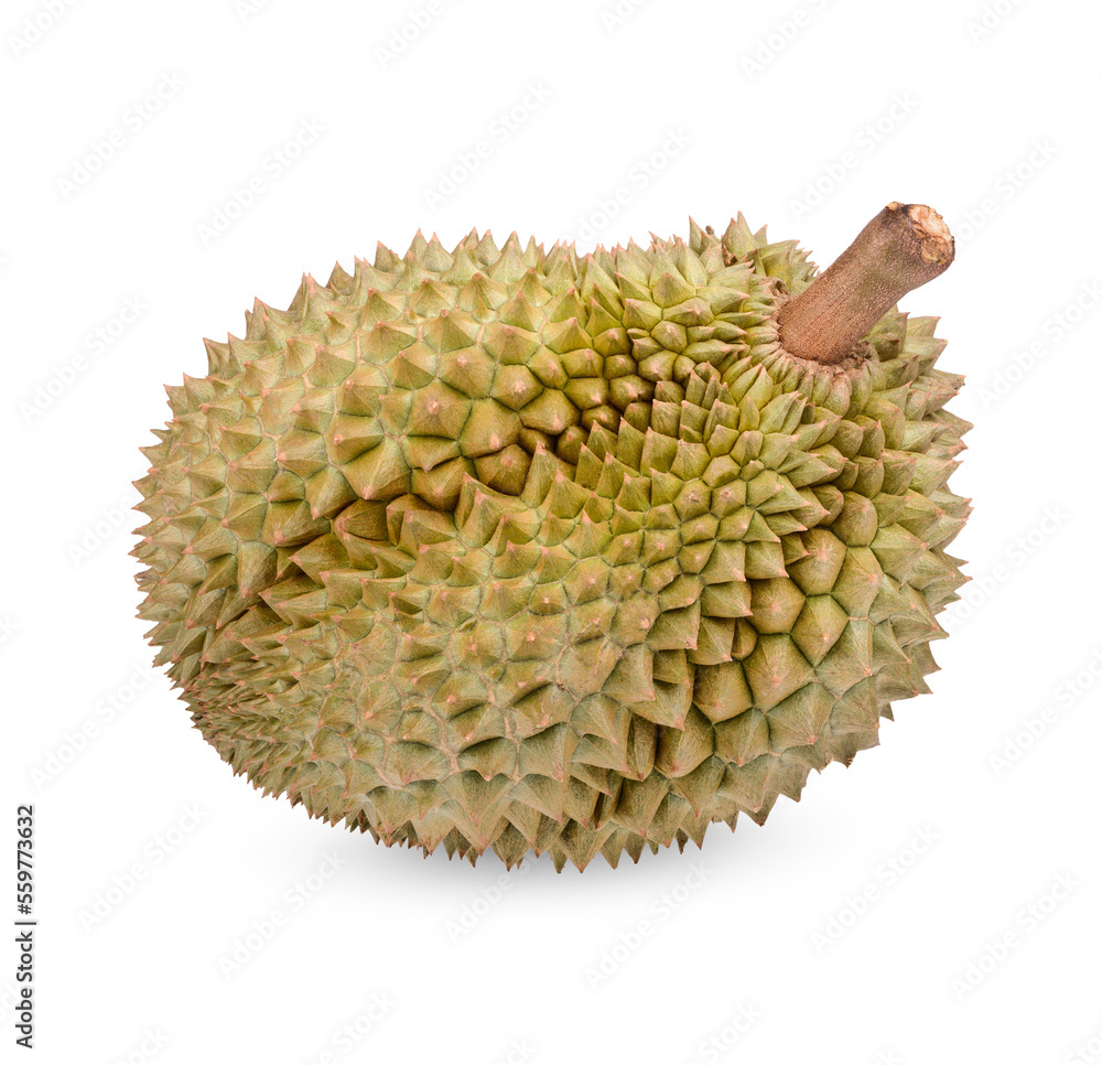 Ripe Durian Fruit isolated on transparent background (.PNG) Ripe Durian Fruit isolated on transparent background (.PNG)