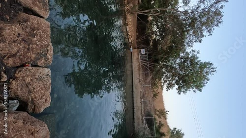 A pool of clean and transparent water in the shokek stream in the valley of the springs in the Jordan Valley, surrounded by trees - Israel photo