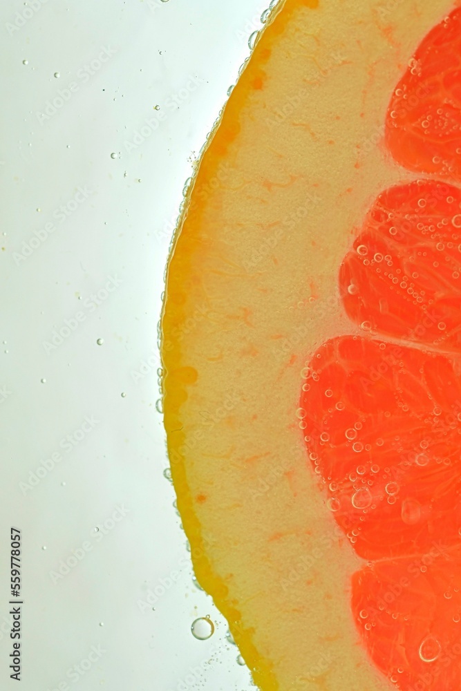 Close-up of juicy grapefruit slice on white background. Slice of red grapefruit in sparkling water on white background, close-up. Vertical macro image Close-up of juicy grapefruit slice on white background. Slice of red grapefruit in sparkling water on white background, close-up. Vertical macro image