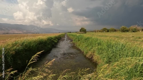the banks of a stream of clean water against a cloudy sky, in Agmon Hachula Nature Reserve - Northern Israel photo