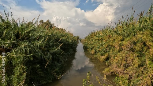 Reeds on the banks of a stream of clean water against a cloudy sky, Agmon Hachula Nature Reserve - Northern Israel photo