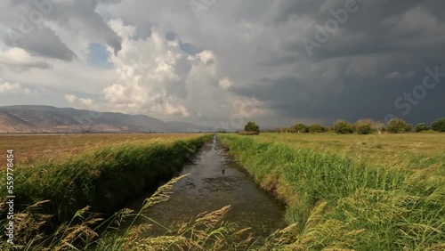 Reeds on the banks of a stream of clean water against a cloudy sky, in Agmon Hachula photo