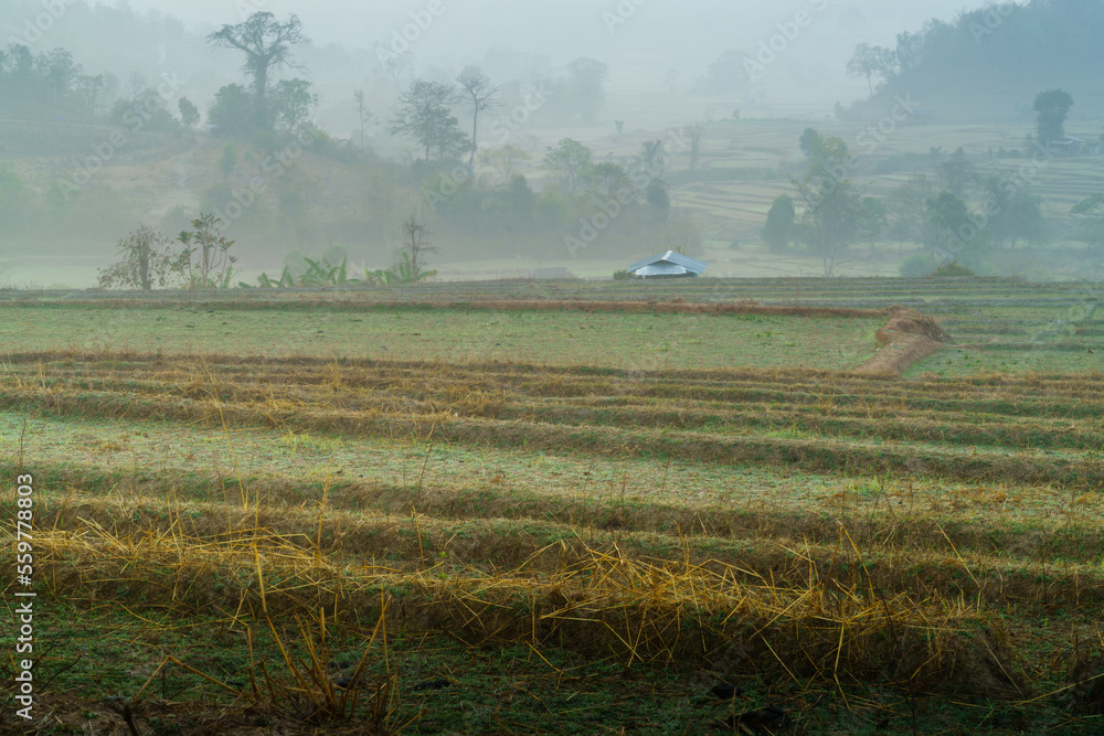 Fototapeta premium Agricultural landscape, Countryside field, Ban na mom Village, Wiang haeng District, Chiang mai Province, Thailand.
