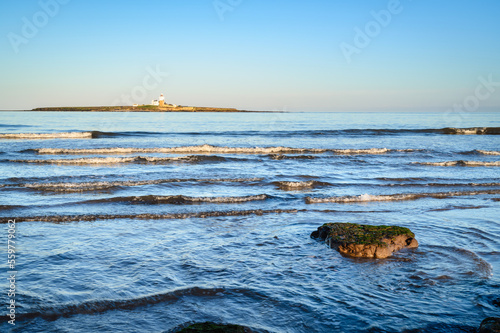 Coquet Island and Ancient Tree Stump.  Ancient tree stumps and logs lie in Low Hauxley Beach near Amble, Northumberland, believed to be part of Doggerland and a 7000 year old forest photo