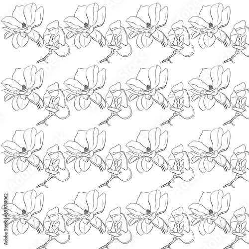 European magnolia. Seamless pattern with outline magnolia flower  ornate buds and leaves on the white background. Elegance floral background in contour style for summer design and coloring book