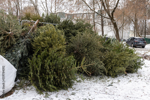 Wallpaper Mural Huge pile of Christmas trees thrown out after Christmas and new year celebration. Damage for the nature and ecology, global warming and consumerism issues Torontodigital.ca