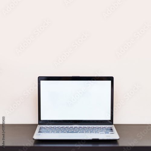 blank display in laptop computer