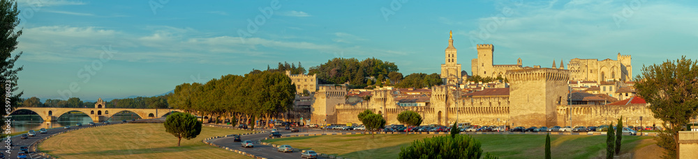 Avignon mit Brücke Panorama