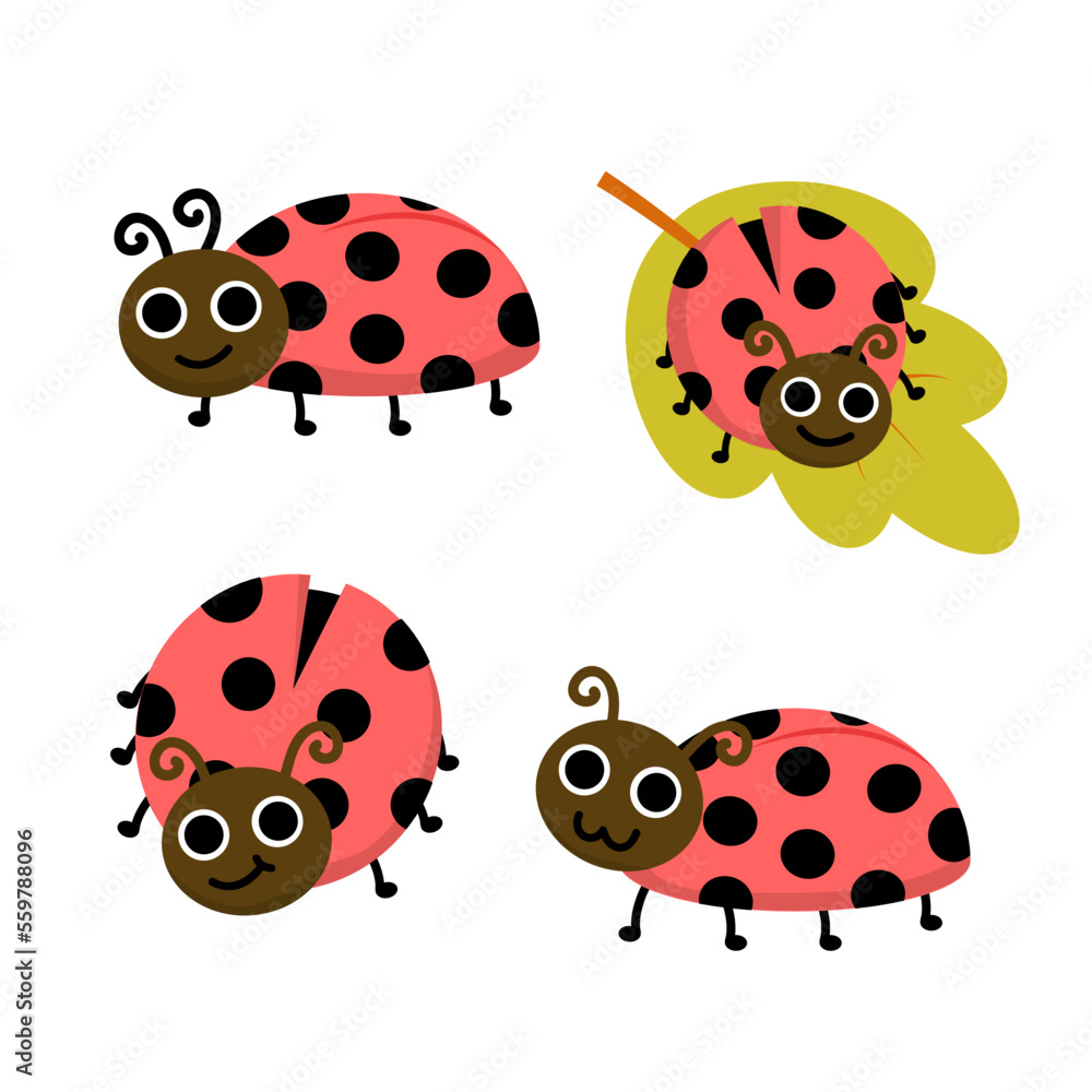 Fototapeta premium Animal-Insects-2