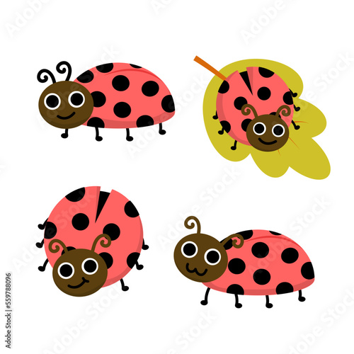 Animal-Insects-2