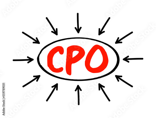 CPO Chief People Officer - corporate officer who oversees all aspects of human resource management and industrial relations policies, acronym text concept with arrows