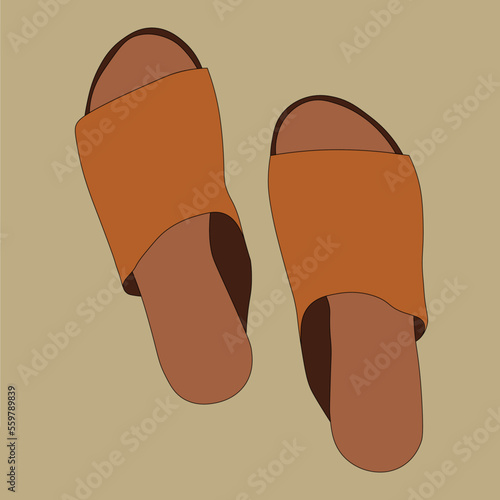 Vector illustration of female sandals
