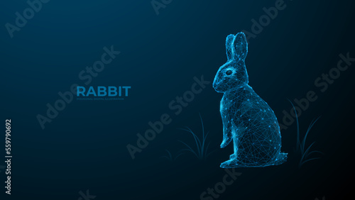 Rabbit. Digital polygon illustration of bunny. Isolated line and dots technology vector of hare. 3D wireframe coney on dark background. Eastern rabbit.