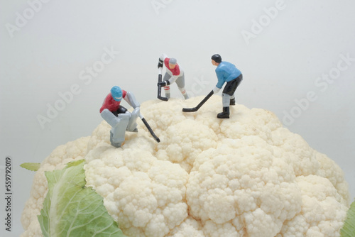 Photography a figures of ice hockey on Whole Cauliflower Vegetable
