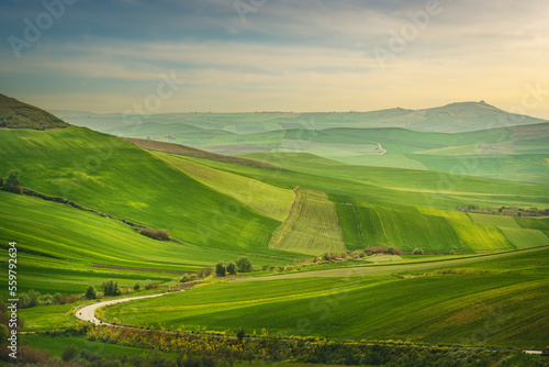 Bild auf Leinwand Puglia landscape, view of rolling hills near Poggiorsini, Italy