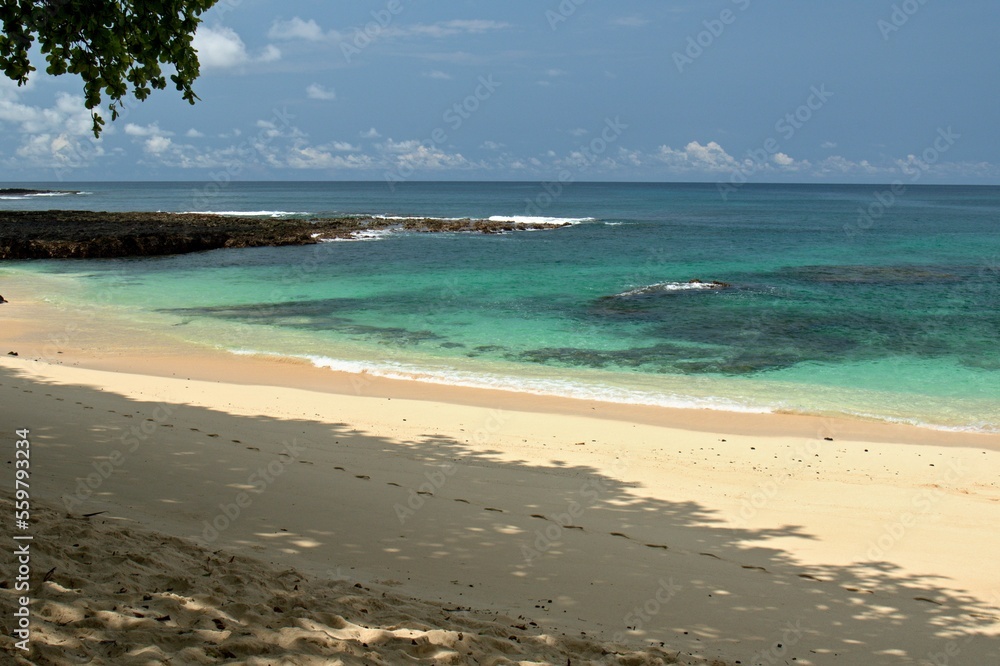 Playa Coffee on Rolas Island. Sao Tome and Principe. Africa. 