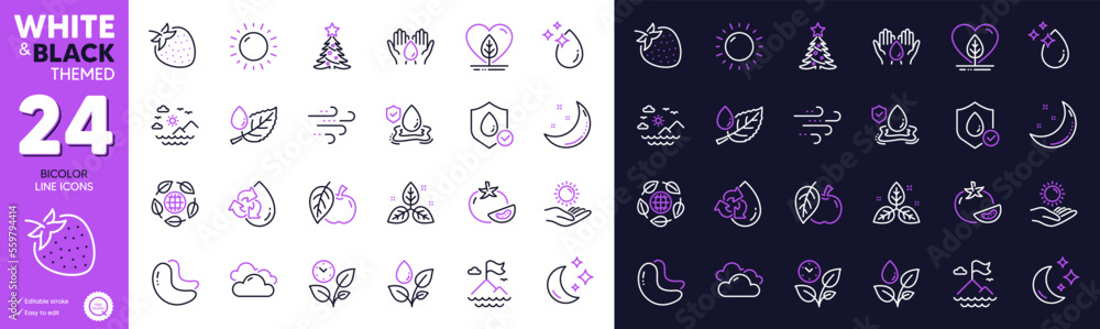 Cashew nut, Leaves and Plants watering line icons for website, printing. Collection of Cloudy weather, Moon, Flood insurance icons. Waterproof, Christmas tree, Tomato web elements. Apple. Vector
