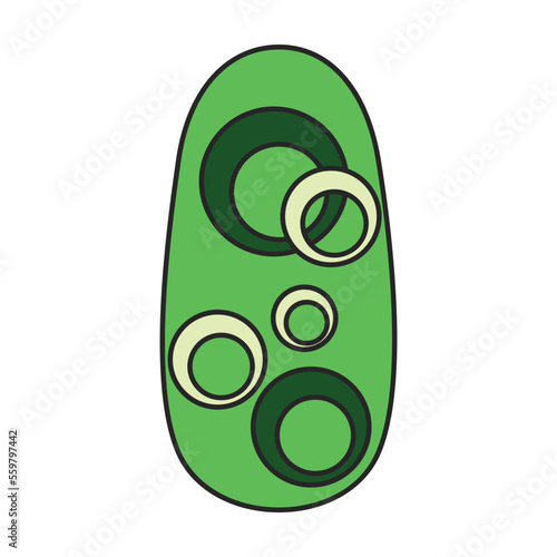Nail of manicure vector icon.Color vector icon isolated on white background nail of manicure.