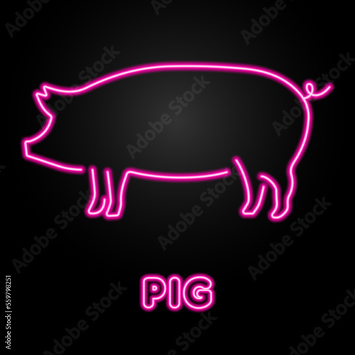 pig neon sign, modern glowing banner design, colorful modern design trends on black background. Vector illustration.