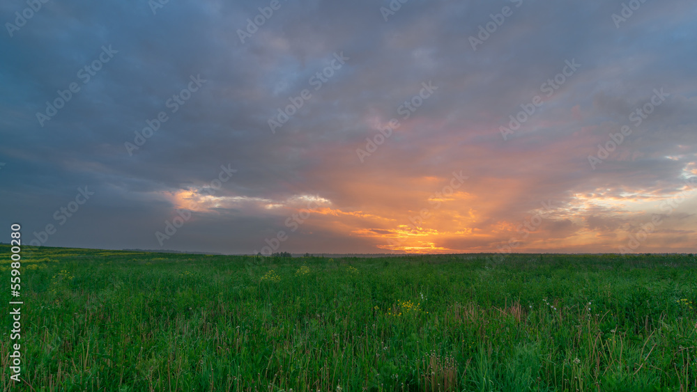 sunrise over rapeseed field