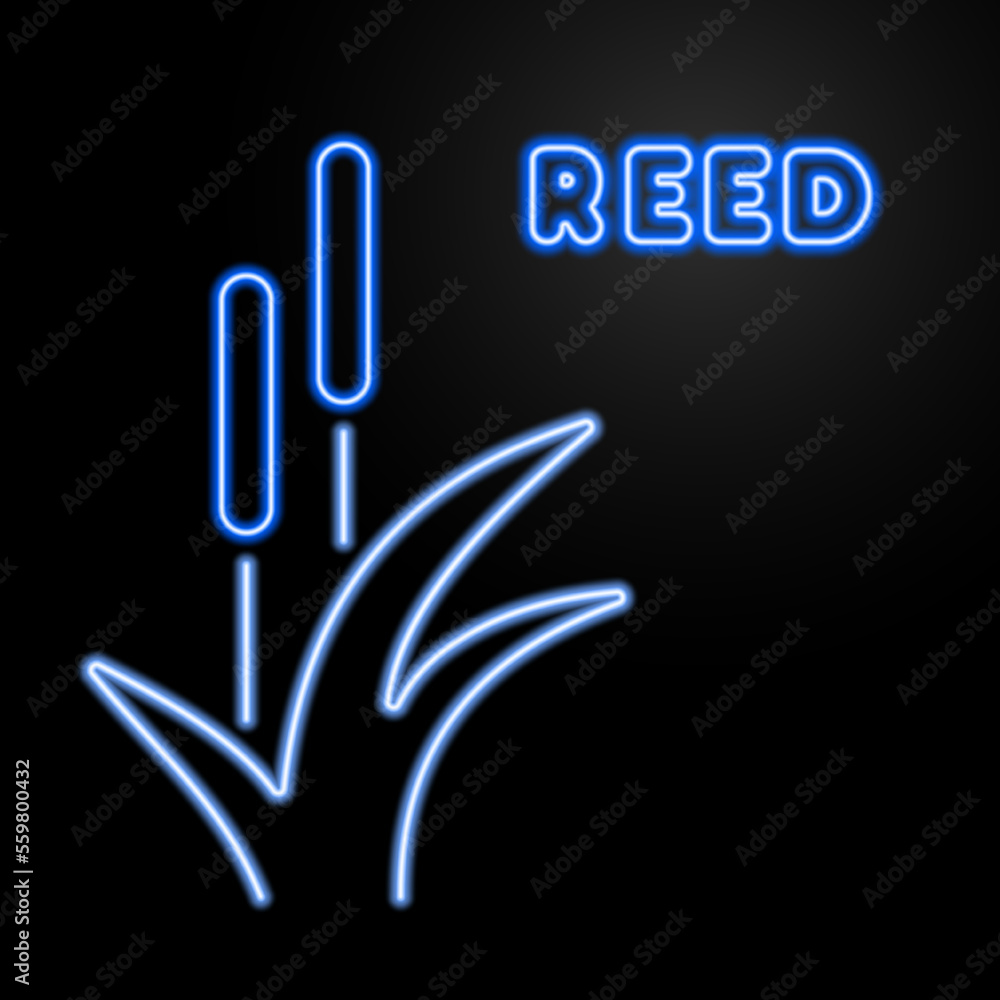 Fototapeta premium reed neon sign, modern glowing banner design, colorful modern design trends on black background. Vector illustration.