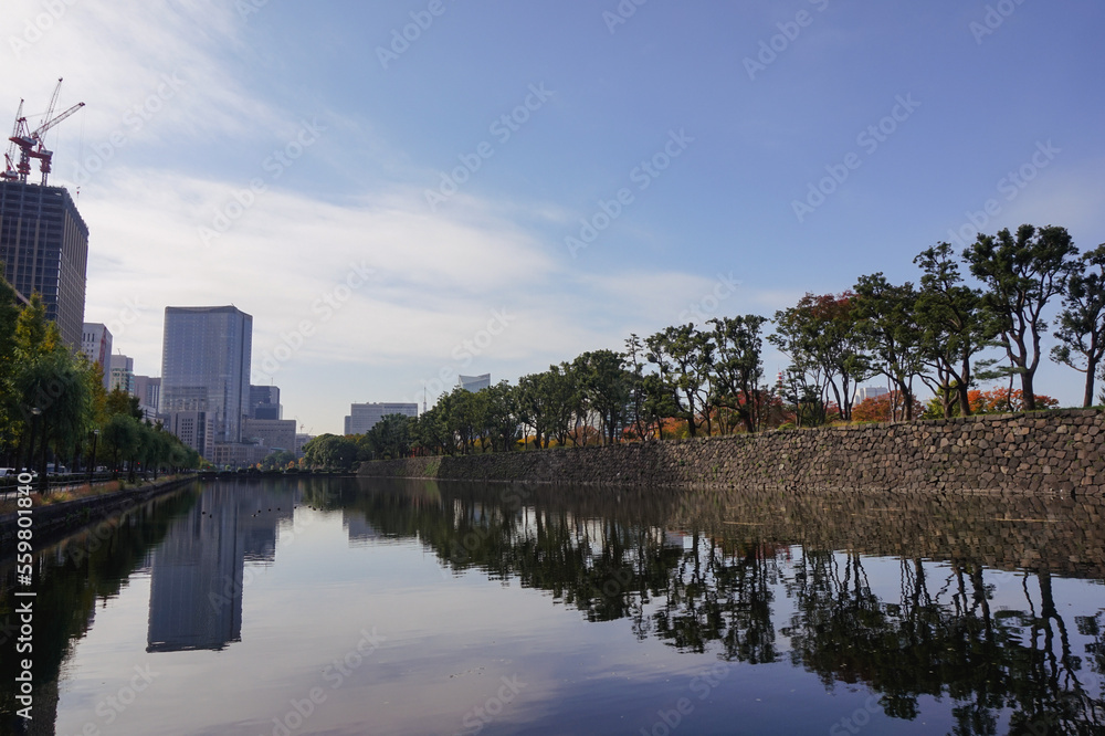 Fototapeta premium 早朝の馬場先濠 東京