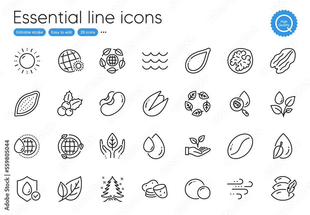Potato, Cocoa nut and Oil drop line icons. Collection of Eco organic, Walnut, Sun energy icons. Pillow, World weather, Leaf web elements. Beans, Waterproof, Pumpkin seed. Windy weather. Vector Potato, Cocoa nut and Oil drop line icons. Collection of Eco organic, Walnut, Sun energy icons. Pillow, World weather, Leaf web elements. Beans, Waterproof, Pumpkin seed. Windy weather. Vector