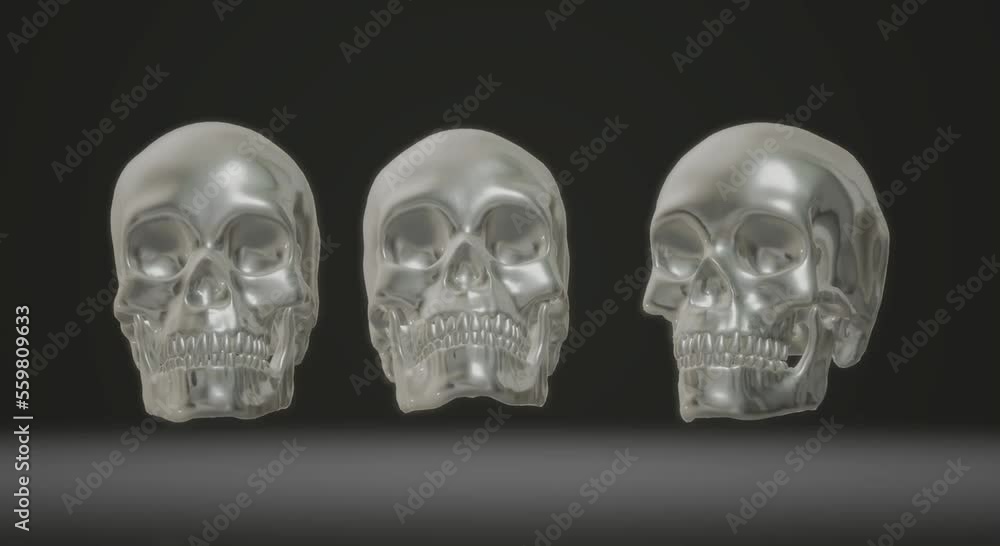 human body anatomy, skull skeleton human body anatomy, skull skeleton