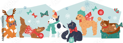 Photography Christmas background with cute animals characters