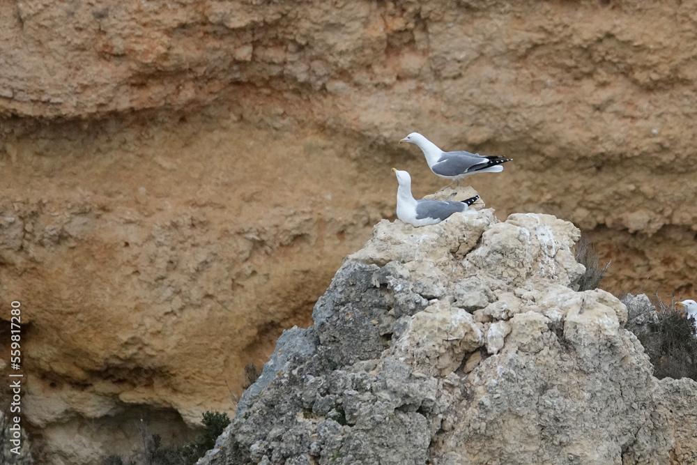 Algarve in Portugal