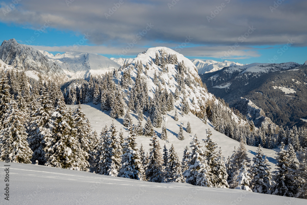 Winter landscape with snowy trees and snow covered peaks, Italian Alps, Lombardy, Italy.