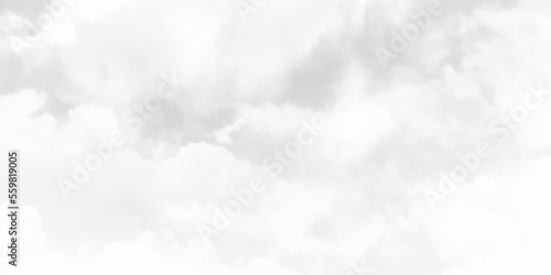 Gray sky with whimsical curly cloud, copy space
