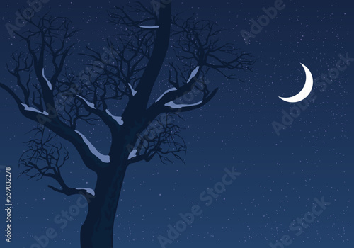 Paysage nocturne montrant la silhouette d’un arbre enneigé au clair de lune. © pict rider