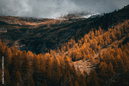 autumn view landscape in the mountains with golden trees and cloudy sky
