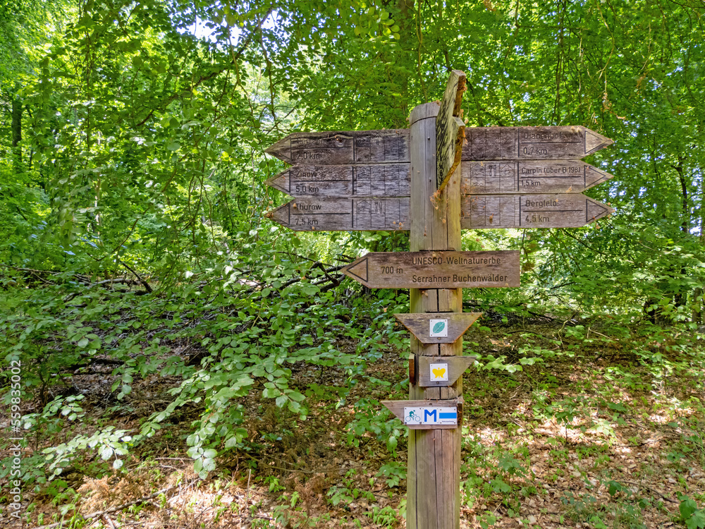 Wanderwegbeschilderung im Müritz-Nationalpark, Mecklenburg-Vorpommern, Deutschland