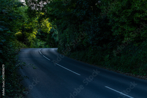 road in the woods