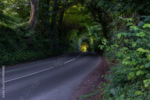 road in the forest