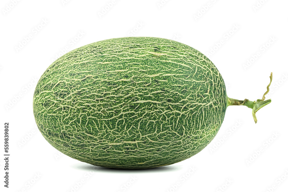 Green ripe melon on white background Green ripe melon on white background
