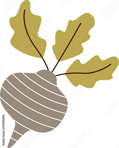 Abstract hand drawn beetroot flat icon