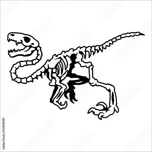 dinosaur skull vector can be used as graphic design © Muhamad