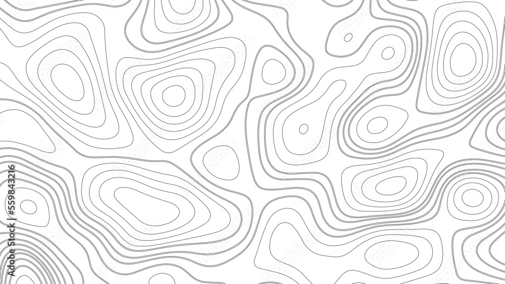 Topographic map. Geographic mountain relief. Abstract white topography vector background. Line topography map design. The concept of conditional geographical pattern and topography.	