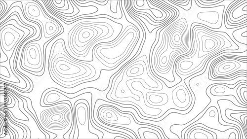 Topographic map. Geographic mountain relief. Abstract white topography vector background. Line topography map design. The concept of conditional geographical pattern and topography.	