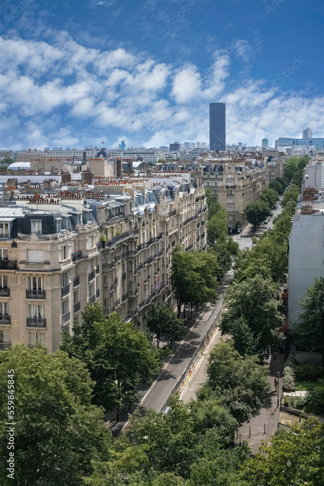 Paris, aerial view with typical buildings, and the Montparnasse tower in background
