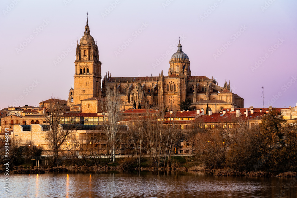 Scenic urban landscape of the city of Salamanca at sunset with the cathedral and the Tormes river. Castilla Leon, Spain