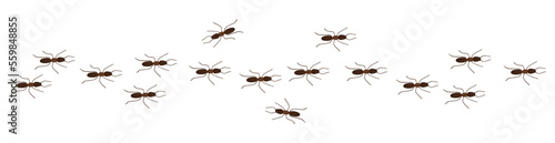 Ant trail row in hand drawn cartoon style
