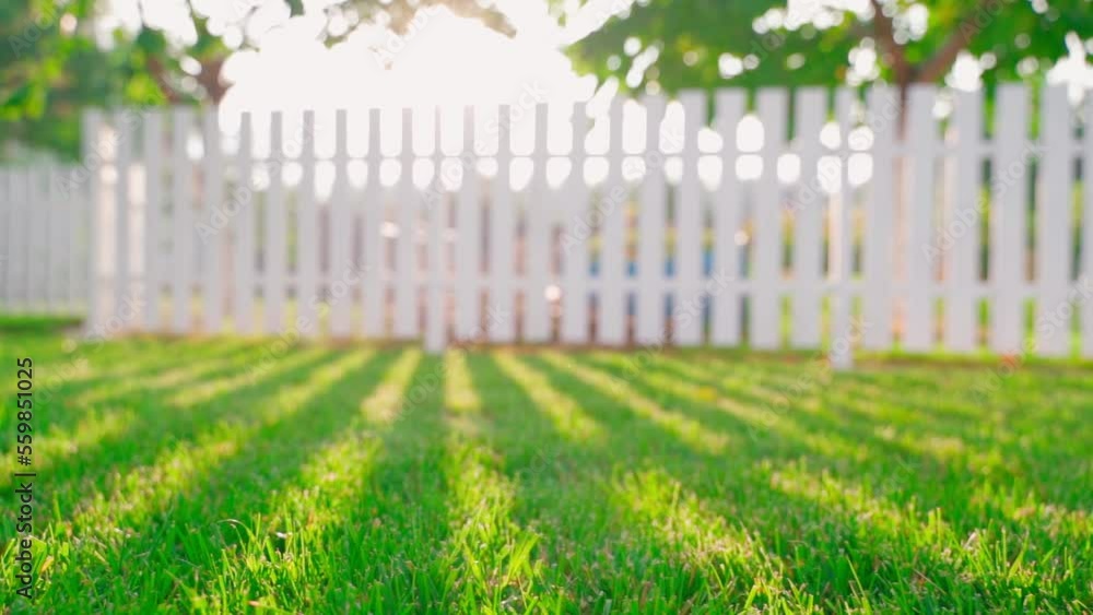 The rays of the setting sun in the evening make their way through the fence and illuminate the green saturated lawn. Shadow from a white wooden garden fence on the grass in summer.Well maintained lawn The rays of the setting sun in the evening make their way through the fence and illuminate the green saturated lawn. Shadow from a white wooden garden fence on the grass in summer.Well maintained lawn