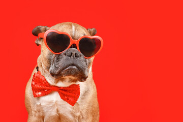 Funny French Bulldog dog wearing heart shaped Valentine's Day glasses and bow tie on red background with copy space