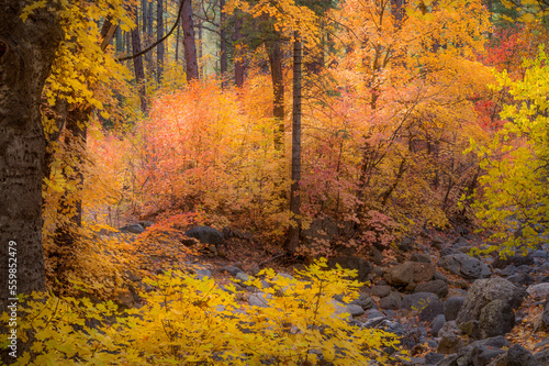 Colors of Fall embrace the Sedona Arizona landscape