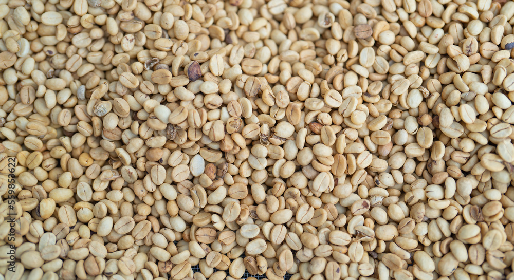 Roasted coffee bean pattern texture background. Raw food material. Roasted coffee bean pattern texture background. Raw food material.