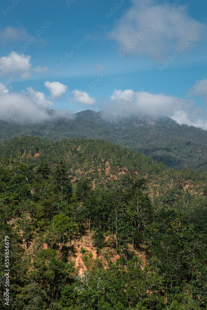 Tropical mountains, rainforest landscape from East Asia
